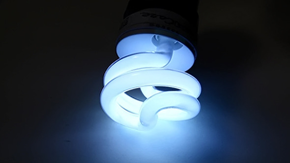 CFL Bulb Glowing 684