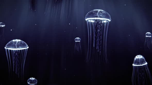 Blue Jellyfish Swimming in Deep Dark Ocean HD Loop