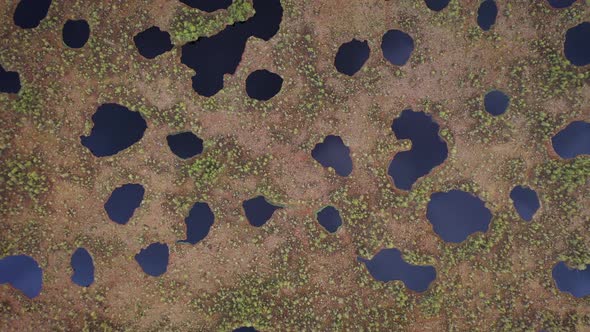 Aerial Top View Huge Swampland Puddles Plants It Surface