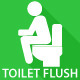 Toilet Flush