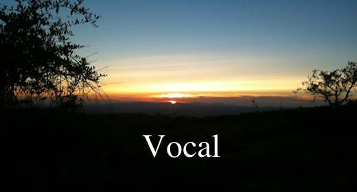 Vocal