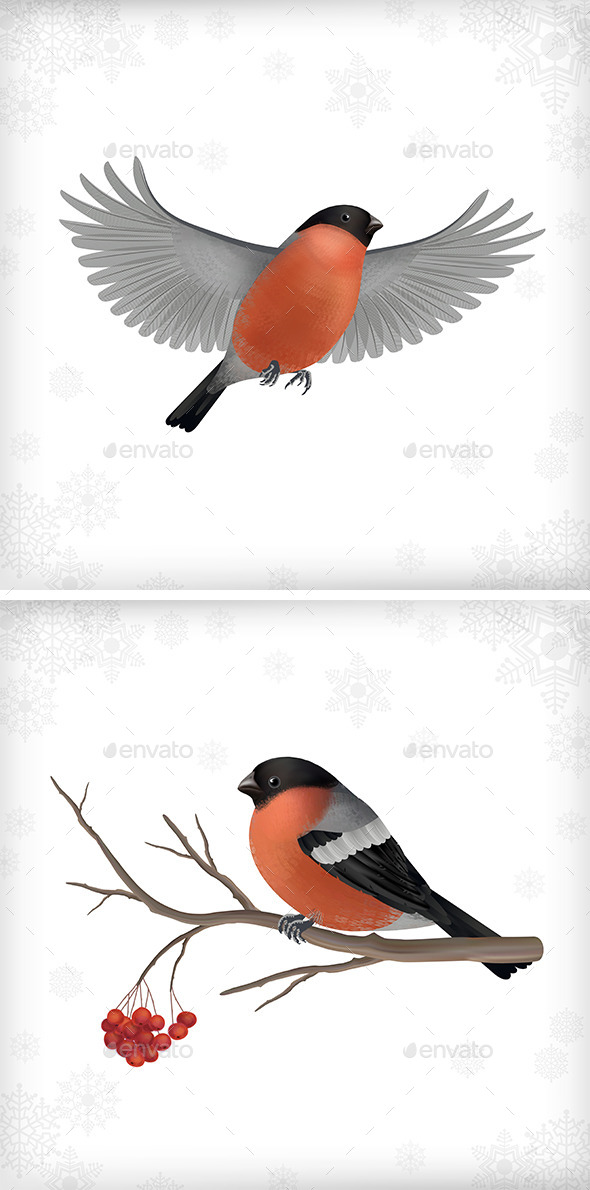 Winter Bird Bullfinch Set Winter Bird Bullfinch Set