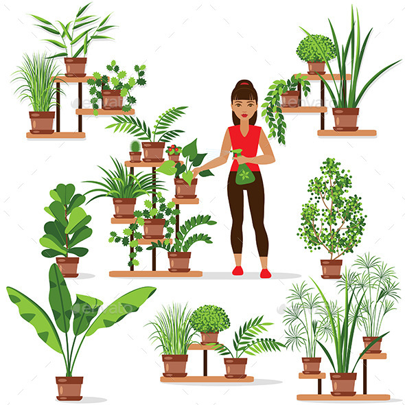 Caring for Houseplants Caring for Houseplants