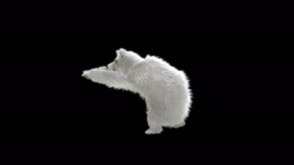 187 Bear Standing Magic Attack 4K alt