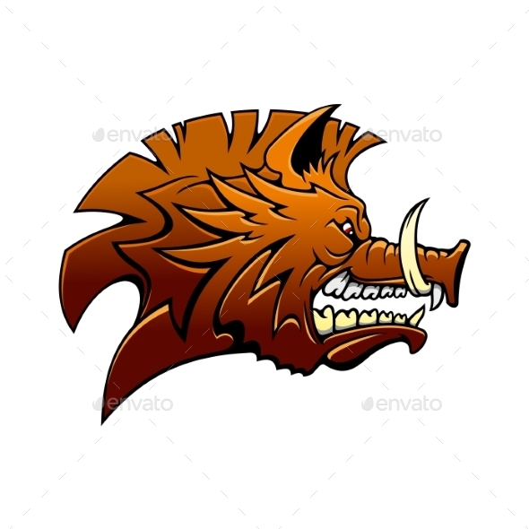 Head Of a Fierce Snarling Wild Boar Head Of a Fierce Snarling Wild Boar