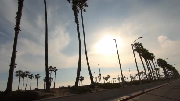 Sunset drive down Pacific Coast Hwy passing palm trees and shore line on the Huntington Beach coast alt