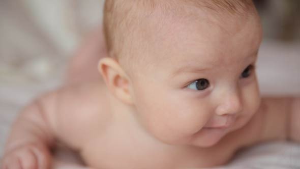 Portrait Of A Baby Portrait Of A Baby