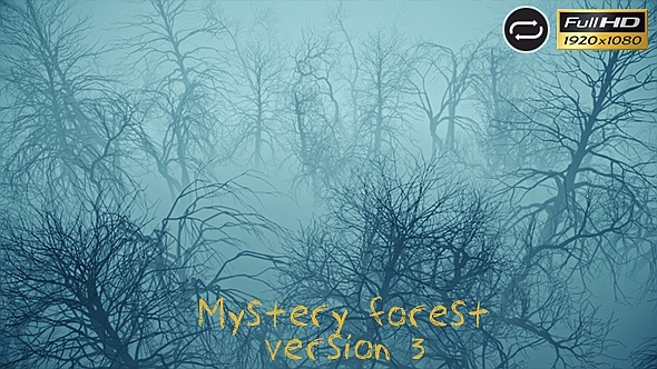 Mystery Forest #3