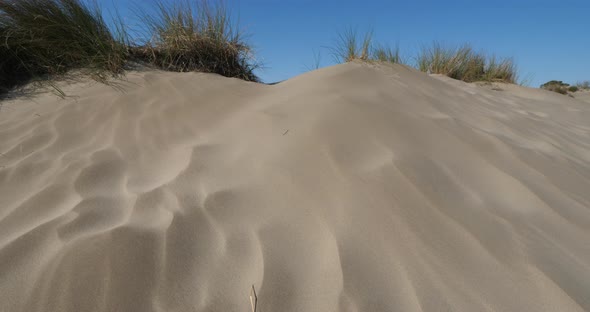 Wild landscape, Espiguette, Camargue, France. Sand landscape, Espiguette, Gard department, France alt