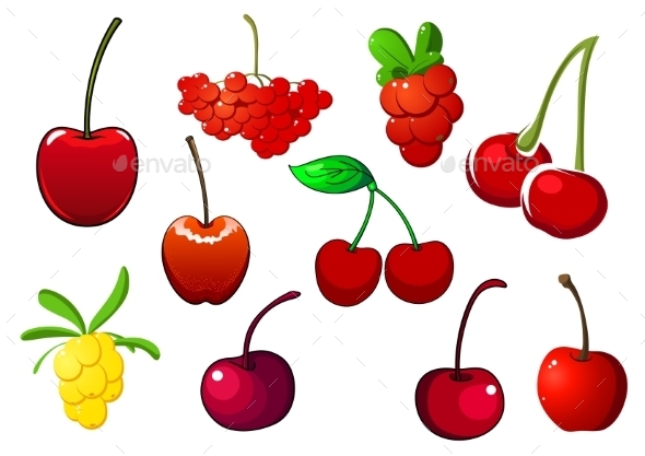 Colored Fresh Berry Icons Set Colored Fresh Berry Icons Set