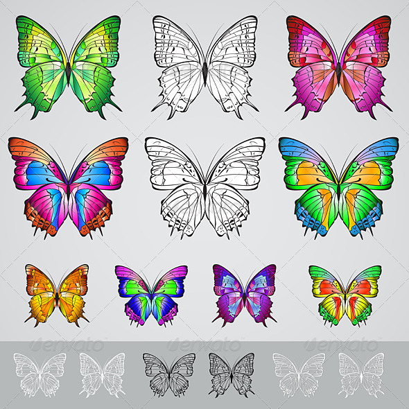 Set of different colored butterflies - Characters Vectors