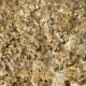 Stone Washed By Surf - VideoHive Item for Sale