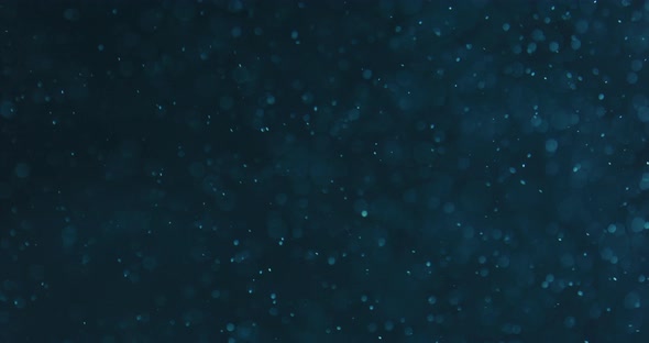 Blue Bubbles And Particles In Water Against Black Background alt