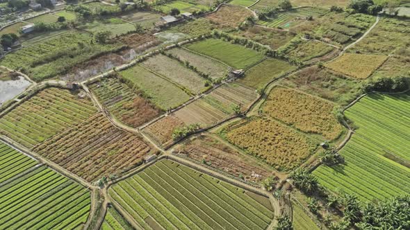 Aerial view of Farm land in Hong Kong alt