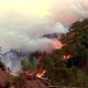 Forest Fire in the Mountains - VideoHive Item for Sale