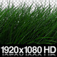 Realistic Grass Blowing in Wind - Calm - ALPHA - VideoHive Item for Sale