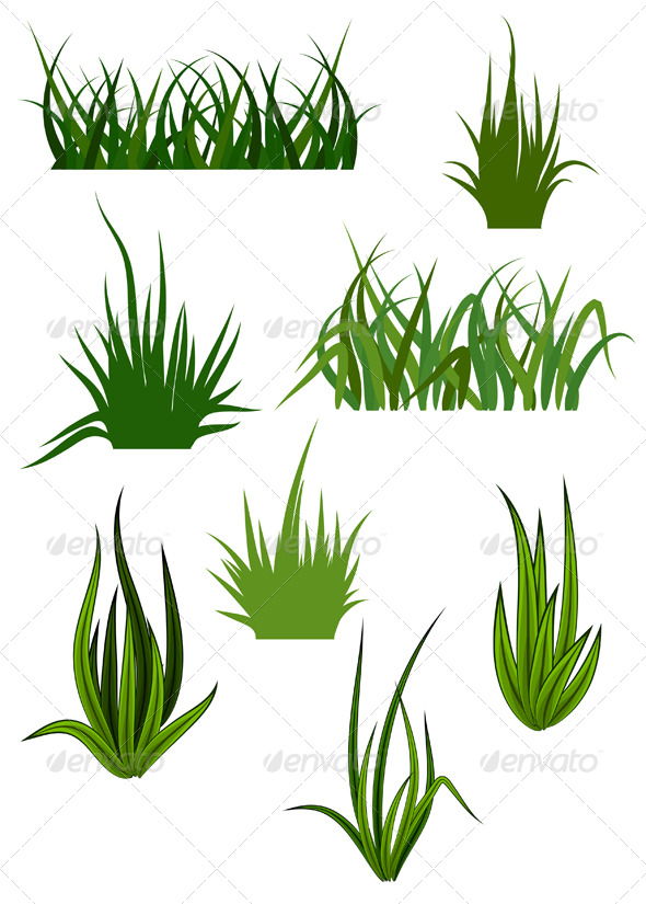 Green Grass Elements for Design