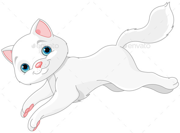White Kitten White Kitten