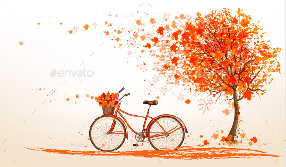 Autumn Bicycle With Colorful Leaves Vector - Seasons Nature