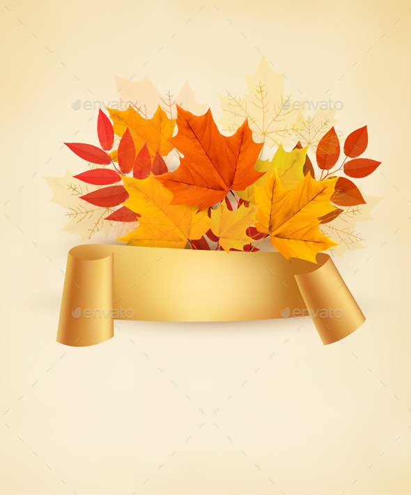 Autumn Banner Background With Colorful Leaves - Seasons Nature
