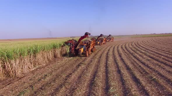 Sugar cane hasvest plantation with three machines view aerial alt