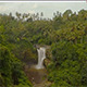 Waterfall in the Jungle 2 - VideoHive Item for Sale