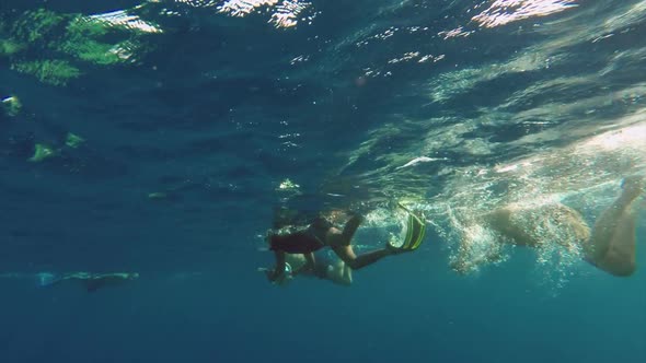 People Snorkelling  Cameras Underwater Swim To Take Pictures Of Fish And Corals alt