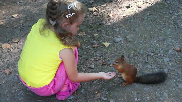 Little Girl Feeding Squirrel  Nuts In Park 4 alt
