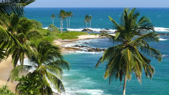 Beautiful Landscape  Sea Waves On Tropical Beach And Coconut Palms 3