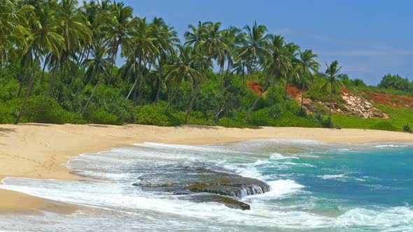 Beautiful Landscape  Sea Waves On Tropical Beach And Coconut Palms 10 alt