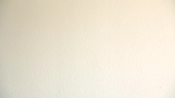 Flying Dollar Bills On White Background alt