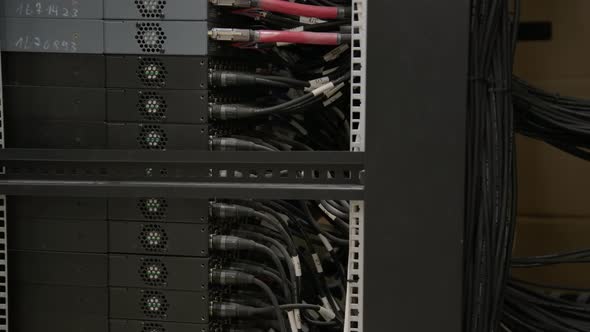 Lines of Cables Connected to Modern Internet Network Switch Server ...