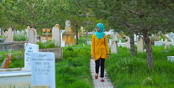 The Muslim Cemetery alt