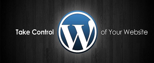 Wp%20developer88%20banner