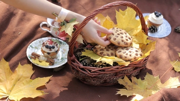 Young Girl Takes Cooki In The Autumn Park