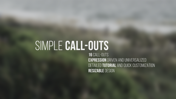 Simple Call-Outs - VideoHive 12930673