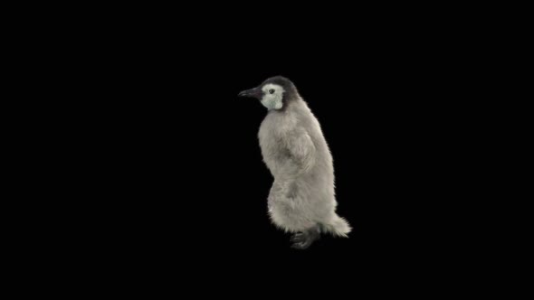 Penguin Dancing HD alt