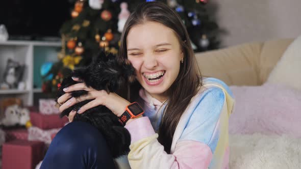 A Cute Yorkshire Terrier Puppy Licks a Happy Teenage Girl in a Room
