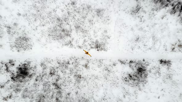 A man spins in the middle of the field, spreading his arms to the sides alt