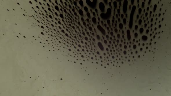 Small particles form different abstract figures. Macro shot of ferro fluid in a petri dish. alt