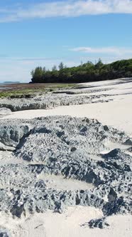 Tanzania  Vertical Video Empty Beach on Zanzibar Island Slow Motion alt