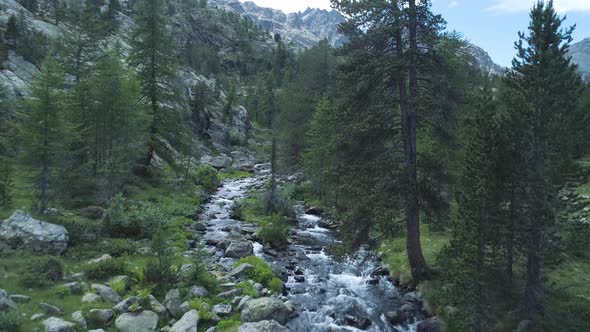 Moving Forward on Bridge Along Creek River and Pine Woods Forest to Rocky Mountain in Summer alt