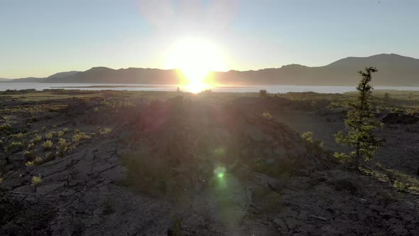 Relaxing Sunny Lake View Behind Tree Branches alt