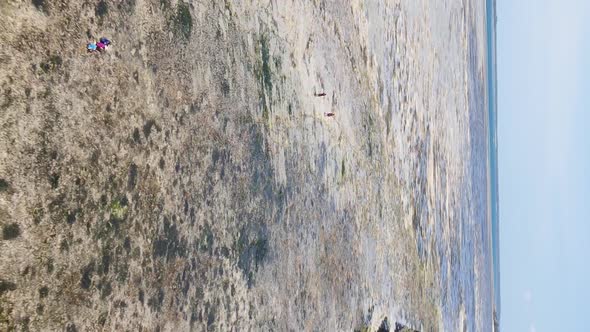 Zanzibar Tanzania  Vertical Video of Low Tide in the Ocean Near the Coast Slow Motion alt