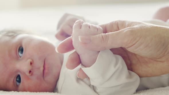 Close-up portrait of a young baby who has recently been born. alt