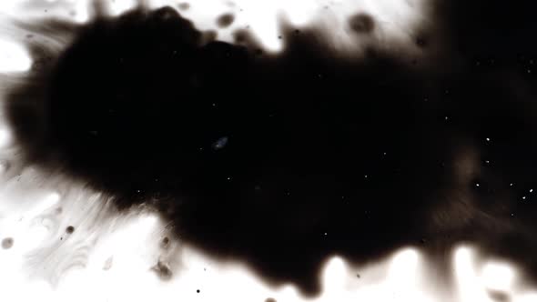 Instant spreading of black ink blot on a white background alt