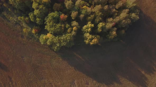 Aerial Footage of Golden Wheat Fields Before Harvest