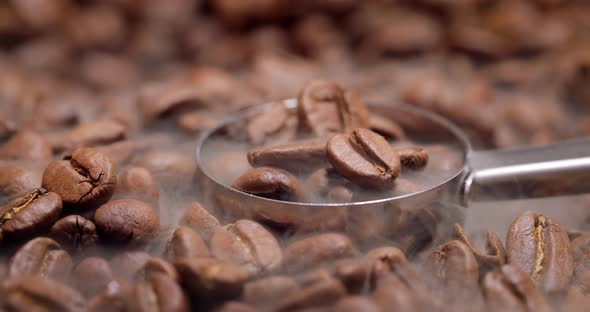 Close Up of Seeds of Coffee alt