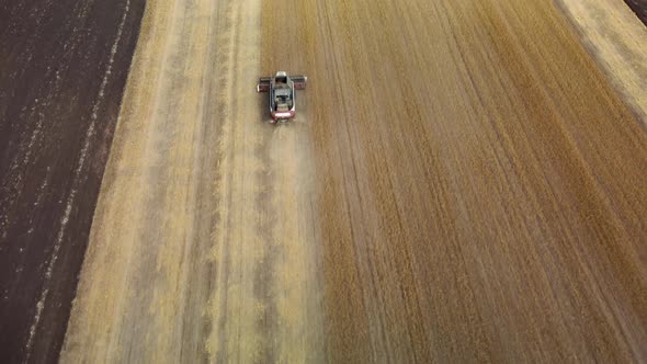 Cleaning a Flax Field From a Bird'seye View