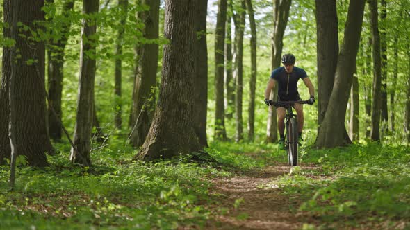 A Cyclist is Riding a Forest Trail on a Bicycle alt